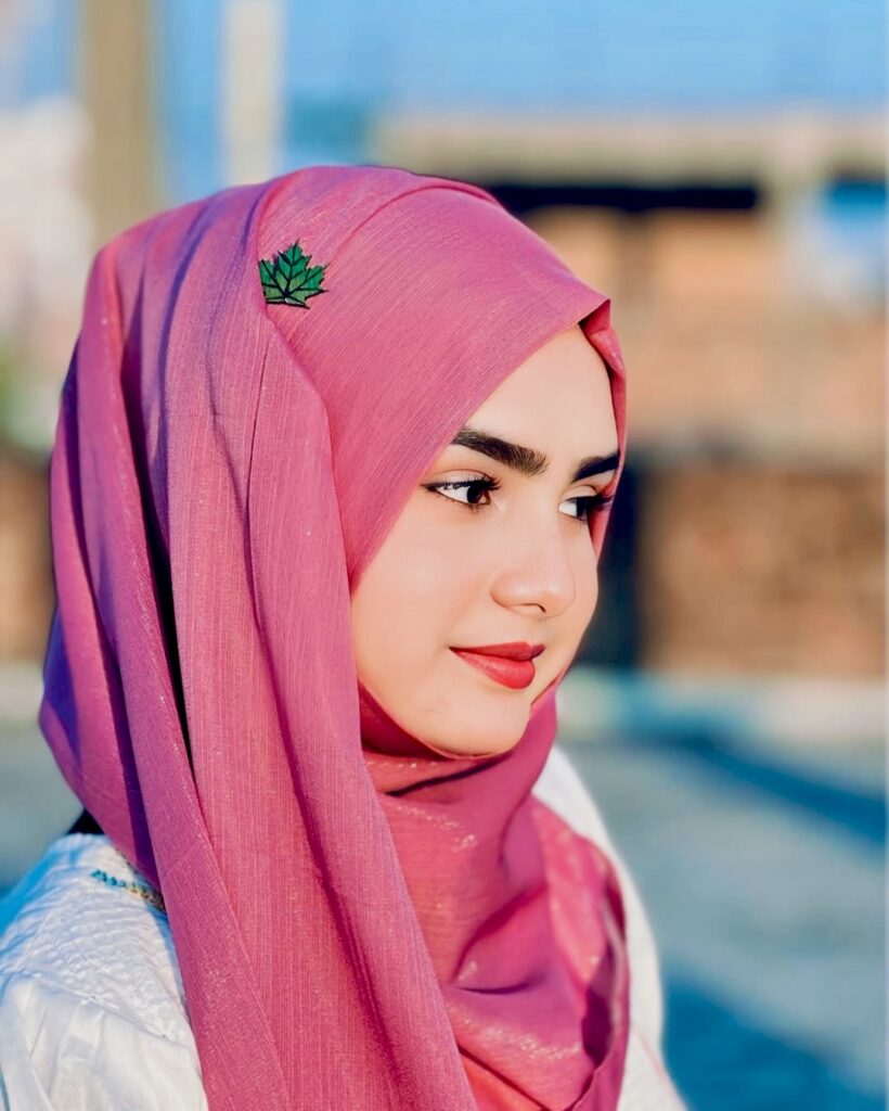 pink hoodie hijab fight